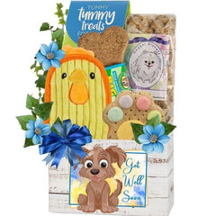 This gift includes:
Tummy Treats Crunchy Banana Bread Dog Treats 12 oz.
Beggar Biskets Peanut Butter Dog Treats 11 oz.
Big Bite Chunky Chicken 8” Biscuit Bone
Durablez Chicky Plush Dog Toy 7" x 4.5"
Bakery Fresh Hand Iced Gourmet Dog Biscuit
Cheery Get Well container
Gift Size: 7” x 4” x 12”
Dim Wt: 6 lbs (15x9x7)